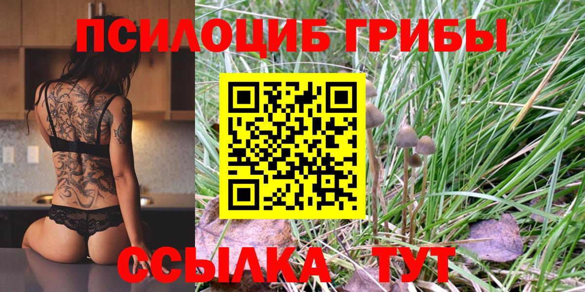 Галлюциногенные грибы Magic Shrooms  хочу наркоту  Тамбов  Галлюциногенные грибы MAGIC MUSHROOMS  Вход с VPN 